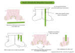 Mode d'emploi Chaussette de No&euml;l | AI Chat &amp; PDF