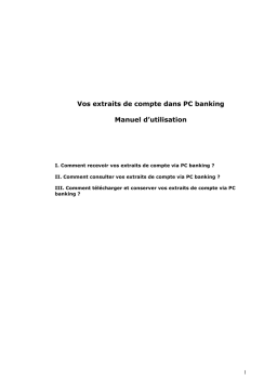 Extraits de compte PC banking : Manuel d'utilisation | AI Chat & PDF Download