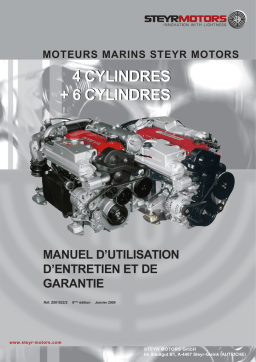 STEYR MOTORS: Manuels d'utilisation + Chat IA