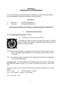 Skylane 182R RG: Manuel IA Chat & Téléchargement PDF