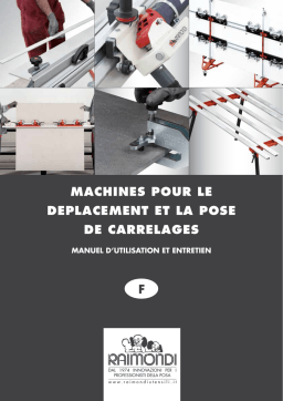 RAIMONDI EASY-MOVE, FREE-MOVE, BM180 : Guide d'Utilisation + Chat IA