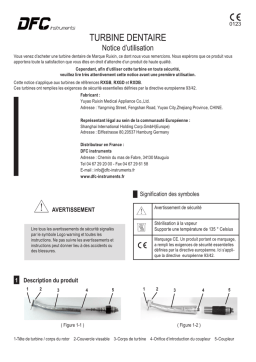 Ruixin RXGB, RXGD, RXDB : Notice d'utilisation | AI Chat