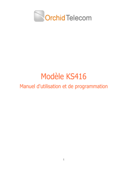 Orchid Telecom KS416 : Manuel d'Utilisation + AI Chat