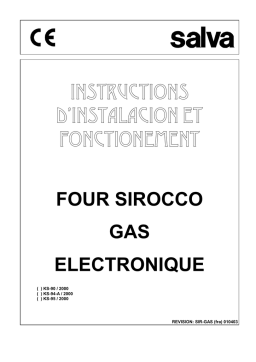 Salva KS 90/2000 Manuel d'instructions | AI Chat & PDF