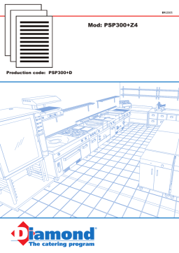 PSP300+Z4 Manuel d'Utilisateur Diamond | Chat IA & PDF