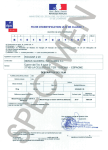 Kougar 2 20 Fiche d'identification | Chat IA