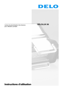 DELOLUX 06 Instructions: AI Chat & PDF Access