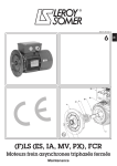 (F)LS FCR: Maintenance + Chat IA &amp; T&eacute;l&eacute;chargement PDF