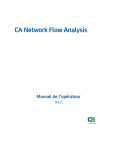 CA Network Flow Analysis Manuel | AI Chat &amp; PDF