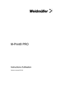 M-Print PRO Instructions d'utilisation | AI Chat