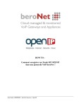 beroNet Passerelles VoIP : Guide d'utilisation | Chat IA &amp; PDF