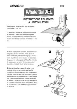 Davis Whale Tail XL : Chat IA & Téléchargement PDF