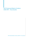 Xcelsius 2008 SP3 : Nouveaut&eacute;s avec IA &amp; PDF