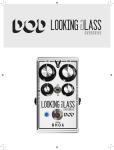 DOD Looking Glass Manuel + Chat IA &amp; T&eacute;l&eacute;chargement PDF