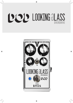 DOD Looking Glass Manuel + Chat IA & Téléchargement PDF