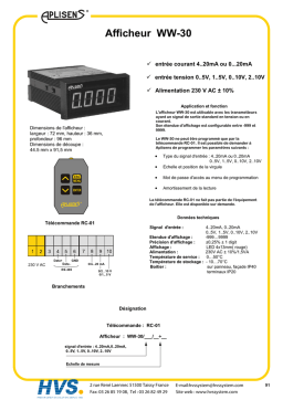 Aplisens WW 30 Manuel utilisateur