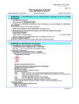 flow Plombage dentaire: Fiche de S&eacute;curit&eacute; + Chat IA