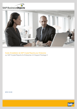 Crystal Reports for Enterprise 4.0: Guide d'installation + AI Chat & PDF Download