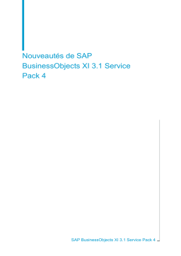 SAP Service Pack 4 Manuel utilisateur