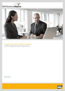 SAP 2011 Feature Pack 3 Manuel utilisateur