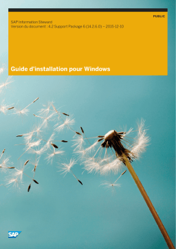 Information Steward 4.2 : Guide d'installation | AI Chat & PDF Download