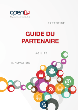 OpenIP : Guide du Partenaire + Chat IA & Téléchargement PDF