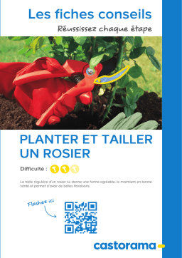 Castorama rosier Manuel utilisateur