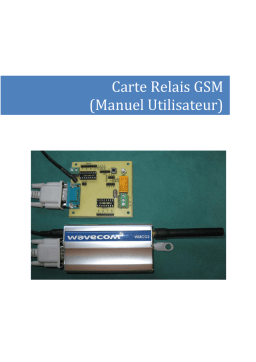 Carte Relais GSM WMOD2: Chat IA et Téléchargement PDF