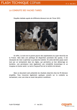 COPAM Conduite des vaches taries Manuel utilisateur