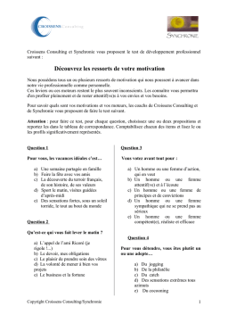 Croissens Consulting/Synchronie Test de développement professionnel Manuel utilisateur