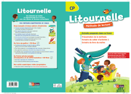 Bordas Litournelle Manuel utilisateur