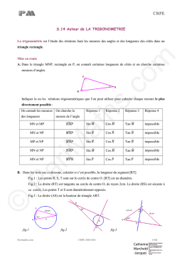 Cours de Trigonométrie | Chat IA & PDF Téléchargement