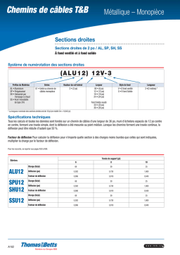 Chemins de câbles T&B: AI Chat & Téléchargement PDF