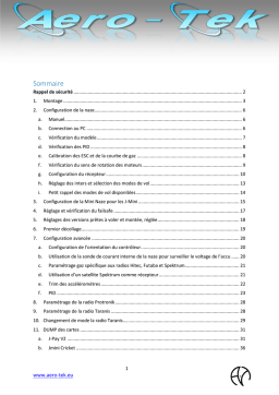 Manuel J-Pay V2, Jmini Cricket: IA Chat & PDF