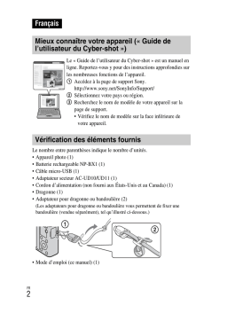 Sony DSC-RX100 : Guide d'utilisation + Chat IA