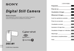 DSC-M1: Mode d'emploi + Chat IA & Téléchargement PDF