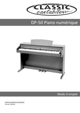 Classic Cantabile DP-50 Mode d'emploi | AI Chat & PDF