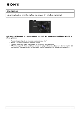 Sony DSC WX300 - Fiche produit + Chat IA