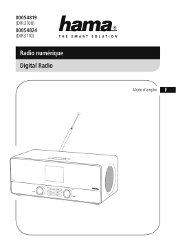 Hama DIR3100/DIR3110 : Mode d'emploi + Chat IA