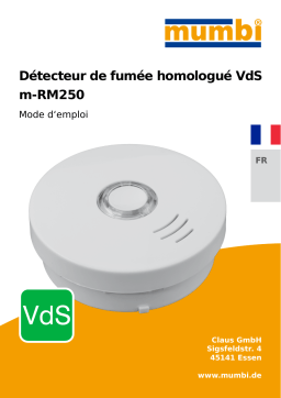 m-RM250 Mode d'emploi : AI Chat & PDF Access