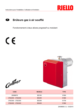 RIELLO GULLIVER BS1/M Manuel: Chat IA & PDF