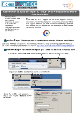Windows Media Player : Guide d'Extraction Audio | AI Chat & PDF Download