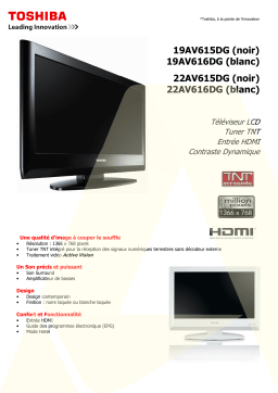 Toshiba AV615DG: Fiche Technique, IA & PDF