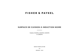 Fisher and Paykel CI122DTB4 Mode d'emploi