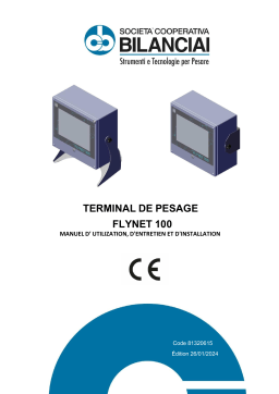 Bilanciai WEIGHING INDICATOR FLYNET100 Manuel du propriétaire