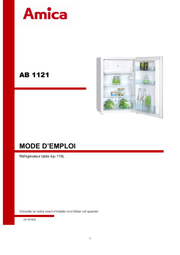 Amica AB1121 Mode d'emploi | AI Chat & PDF Download