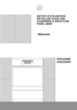 Hisense HI55222BW Manuel du propriétaire