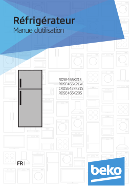 Manuel Beko RDSE465K21S | Assistance IA et PDF