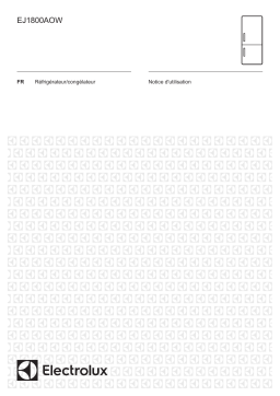 Electrolux EJ1800AOW : Guide d'utilisation + IA