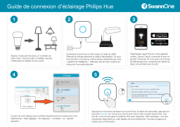 Guide de connexion Hue + Chat IA et PDF